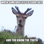 Like my ex | WHEN SOMEONE LIES TO YOUR FACE; AND YOU KNOW THE TRUTH | image tagged in furious deer,lying,angry,soul staring | made w/ Imgflip meme maker