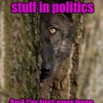 Neither party cares  | People sweating the small stuff in politics; And I'm just over here concerned about the environment and wildlife | image tagged in shy wolf,politics,wolf,nature,environmental,wildlife | made w/ Imgflip meme maker