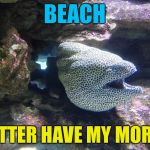 Moray Eel | BEACH; BETTER HAVE MY MORAY | image tagged in moray eel,memes | made w/ Imgflip meme maker