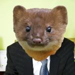  weasel