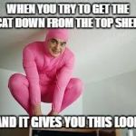 pink guy | WHEN YOU TRY TO GET THE CAT DOWN FROM THE TOP SHELF; AND IT GIVES YOU THIS LOOK | image tagged in pink guy | made w/ Imgflip meme maker