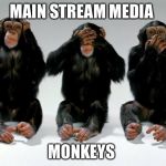Monkeys Do | MAIN STREAM MEDIA; MONKEYS | image tagged in monkeys,msm,cnn,nbc,political correctness,political meme | made w/ Imgflip meme maker