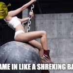 how shrexy | I CAME IN LIKE A SHREKING BALL! | image tagged in funny,shrek | made w/ Imgflip meme maker