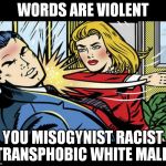 feminazi | WORDS ARE VIOLENT; YOU MISOGYNIST RACIST TRANSPHOBIC WHITE MALE! | image tagged in feminazi,feminism is cancer,i need feminism because,misogyny,racism | made w/ Imgflip meme maker