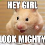 Hey girl hamster | HEY GIRL; YOU LOOK MIGHTY FINE | image tagged in hey girl hamster | made w/ Imgflip meme maker