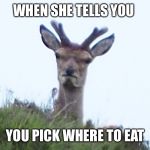 furious deer | WHEN SHE TELLS YOU; YOU PICK WHERE TO EAT | image tagged in furious deer | made w/ Imgflip meme maker