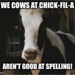 We Cows At Chick-Fil-A Aren't Good At Spelling! | WE COWS AT CHICK-FIL-A; AREN'T GOOD AT SPELLING! | image tagged in betsy,memes,charlotte's web,reba mcentire,chick-fil-a,cow | made w/ Imgflip meme maker