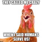 Conspiracy Chicken | THEY CALLED ME CRAZY; WHEN I SAID HUMANS SERVE US! | image tagged in http//animalia-lifecom/data_images/chicken/chicken3jpg,conspiracy,chicken,meme,memes | made w/ Imgflip meme maker