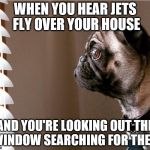 Pug staring out the window | WHEN YOU HEAR JETS FLY OVER YOUR HOUSE; AND YOU'RE LOOKING OUT THE WINDOW SEARCHING FOR THEM | image tagged in pug staring out the window | made w/ Imgflip meme maker