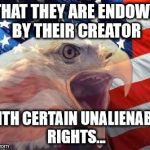 Patriotic Eagle | ...THAT THEY ARE ENDOWED BY THEIR CREATOR; WITH CERTAIN UNALIENABLE RIGHTS... | image tagged in patriotic eagle | made w/ Imgflip meme maker