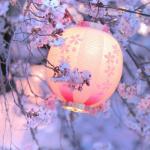 Pastel lantern