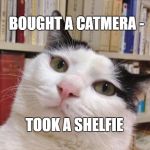 bookshelfkitty | BOUGHT A CATMERA -; TOOK A SHELFIE | image tagged in bookshelfkitty | made w/ Imgflip meme maker