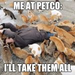 I almost came home with two new cats yesterday, but I barely have enough space for the two I already have.  | ME AT PETCO:; I'LL TAKE THEM ALL | image tagged in cats,crazy cat lady,cat lady | made w/ Imgflip meme maker