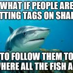 Conspiracy Shark | WHAT IF PEOPLE ARE PUTTING TAGS ON SHARKS; TO FOLLOW THEM TO WHERE ALL THE FISH ARE | image tagged in conspiracy shark | made w/ Imgflip meme maker