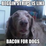 10 Dog | BEGGIN STRIPS IS LIKE; BACON FOR DOGS | image tagged in 10 dog | made w/ Imgflip meme maker