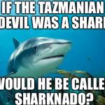 Conspiracy Shark | IF THE TAZMANIAN DEVIL WAS A SHARK; WOULD HE BE CALLED SHARKNADO? | image tagged in conspiracy shark,memes,sharks | made w/ Imgflip meme maker