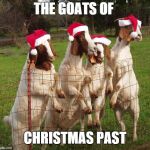 Goats of Christmas Past | THE GOATS OF; CHRISTMAS PAST | image tagged in goats of christmas past | made w/ Imgflip meme maker