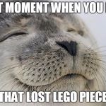 Satisfied Seal | THAT MOMENT WHEN YOU FIND; THAT LOST LEGO PIECE | image tagged in satisfied seal | made w/ Imgflip meme maker