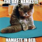 yoga cat | YOGA WORD OF THE DAY: NAMASTE NAMASTE IN BED. I'M TO LAZY TO GET UP | image tagged in yoga cat | made w/ Imgflip meme maker