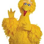 Big Bird