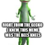 Geico Gecko | RIGHT FROM THE GECKO I KNEW THIS MEME WAS THE BEES KNEES | image tagged in geico gecko | made w/ Imgflip meme maker