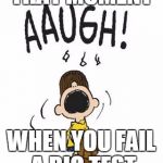 peanuts | THAT MOMENT; WHEN YOU FAIL A BIG TEST | image tagged in peanuts | made w/ Imgflip meme maker