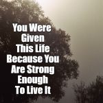 Strength | You Were Given This Life Because You Are Strong Enough To Live It | image tagged in strength | made w/ Imgflip meme maker