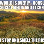 sun rays flowers | OUR WORLD IS OVERLY - CONSUMED WITH SOCIAL MEDIA AND TECHNOLOGY. JUST STOP AND SMELL THE ROSES . | image tagged in sun rays flowers | made w/ Imgflip meme maker