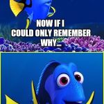 Dory I Got It, Wait What? | TODAY IS A VERY SPECIAL DAY!! NOW IF I COULD ONLY REMEMBER WHY... OH YEAH! IT'S YOUR BIRTHDAY!!! NO, THAT CAN'T BE RIGHT... | image tagged in dory i got it wait what? | made w/ Imgflip meme maker