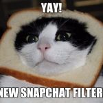 cat bread | YAY! NEW SNAPCHAT FILTER! | image tagged in cat bread | made w/ Imgflip meme maker