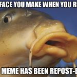 I know I'm New at this and No One is Reposting my Memes, but still, I Call it Getting Re-Post-Essed......... | THAT FACE YOU MAKE WHEN YOU REALIZE; YOUR MEME HAS BEEN REPOST-ESSED | image tagged in carp,memes,repost | made w/ Imgflip meme maker