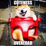 Super Cute epic win | CUTENESS; OVERLOAD | image tagged in memes,cute,doge,aww,mawwiage,cutest | made w/ Imgflip meme maker
