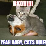 RKO! | RKO!!!!!! OH YEAH BABY, CATS RULE!!!!! | image tagged in rko,dog,cat,animal meme | made w/ Imgflip meme maker