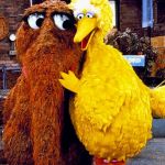 Snuffy and Big Bird | WE'RE FRIENDS; FROM END TO END | image tagged in snuffy and big bird | made w/ Imgflip meme maker