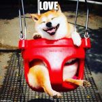 Love | LOVE | image tagged in super cute epic win,doge,love,aww,mawwiage,sweet | made w/ Imgflip meme maker