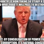 donal trump | OUR COUNTRY IS NOW TAKING SO STEADY A COURSE AS TO WHAT ROAD IT WILL PASS TO DESTRUCTION. TO WIT: BY CONSOLIDATION OF POWER FIRST, AND THE CORRUPTION, IT'S NATURAL CONSEQUENCE. | image tagged in donal trump | made w/ Imgflip meme maker