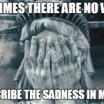 Statue of Liberty Crying | SOMETIMES THERE ARE NO WORDS; TO DESCRIBE THE SADNESS IN MY HOME | image tagged in statue of liberty crying | made w/ Imgflip meme maker