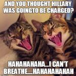 HILLARY FREED! | AND YOU THOUGHT HILLARY WAS GOINGTO BE CHARGED? HAHAHAHAHA...I CAN'T BREATHE....HAHAHAHAHAH | image tagged in cats smiling,hillary clinton,election 2016,politics | made w/ Imgflip meme maker
