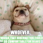 Dog "hibernating" | WHOEVER; THOUGH THAT HIBERNATION COULD BE SO COMFORTABLE FOR BEARS | image tagged in dog in bed,funny animal meme,sleeping,hibernation memes | made w/ Imgflip meme maker