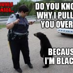 Meanwhile In Canada... | MEANWHILE IN CANADA... DO YOU KNOW WHY I PULLED YOU OVER? BECAUSE I'M BLACK? | image tagged in meme,funny,meanwhile in canada,profile,bear,rcmp | made w/ Imgflip meme maker