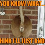 Gotta love that redneck ingenuity...LOL | YOU KNOW WHAT... I THINK I'LL JUST KNOCK | image tagged in redneck doorbell,memes,funny,funny animals,push it,animals | made w/ Imgflip meme maker