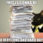 Business Cat | THIS IS GONNA BE; A VERY LONG AND HARD DAY | image tagged in business cat | made w/ Imgflip meme maker