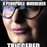 Triggered | CALLING MUHAMMAD  A PEDOPHILE  MURDERER; TRIGGERED | image tagged in triggered | made w/ Imgflip meme maker