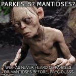 gollum | PARKESES? MANTIDSES? WE HAS NEVER HEARD OF PARKSES OR MANTIDSES BEFORE, PRECIOUSSS | image tagged in gollum | made w/ Imgflip meme maker