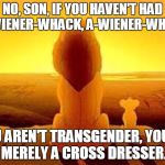 Pats vs Lions | NO, SON, IF YOU HAVEN'T HAD A-WIENER-WHACK, A-WIENER-WHACK; YOU AREN'T TRANSGENDER, YOU'RE MERELY A CROSS DRESSER. | image tagged in pats vs lions | made w/ Imgflip meme maker