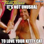 Tom Jones | IT'S NOT UNUSUAL; TO LOVE YOUR KITTY CAT | image tagged in tom jones | made w/ Imgflip meme maker