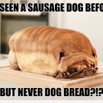 Is Dog Bread A Thing?!? | I'VE SEEN A SAUSAGE DOG BEFORE... BUT NEVER DOG BREAD?!? | image tagged in dog bread | made w/ Imgflip meme maker