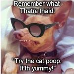 Phteven phunglasses  | Remember what Thatre thaid:; "Try the cat poop. It'th yummy!" | image tagged in phteven phunglasses | made w/ Imgflip meme maker