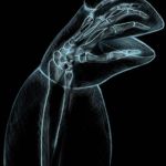 Kermit X-Ray | A RARE LOOK; AT KERMIT'S SKELETAL STRUCTURE | image tagged in kermit xray,memes | made w/ Imgflip meme maker