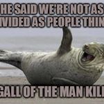 laughing seal | HE SAID WE'RE NOT AS DIVIDED AS PEOPLE THINK; THE GALL OF THE MAN KILLS ME | image tagged in laughing seal | made w/ Imgflip meme maker